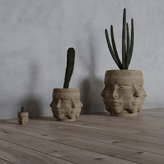 Eros’ Reflection: Parametric Face Planter