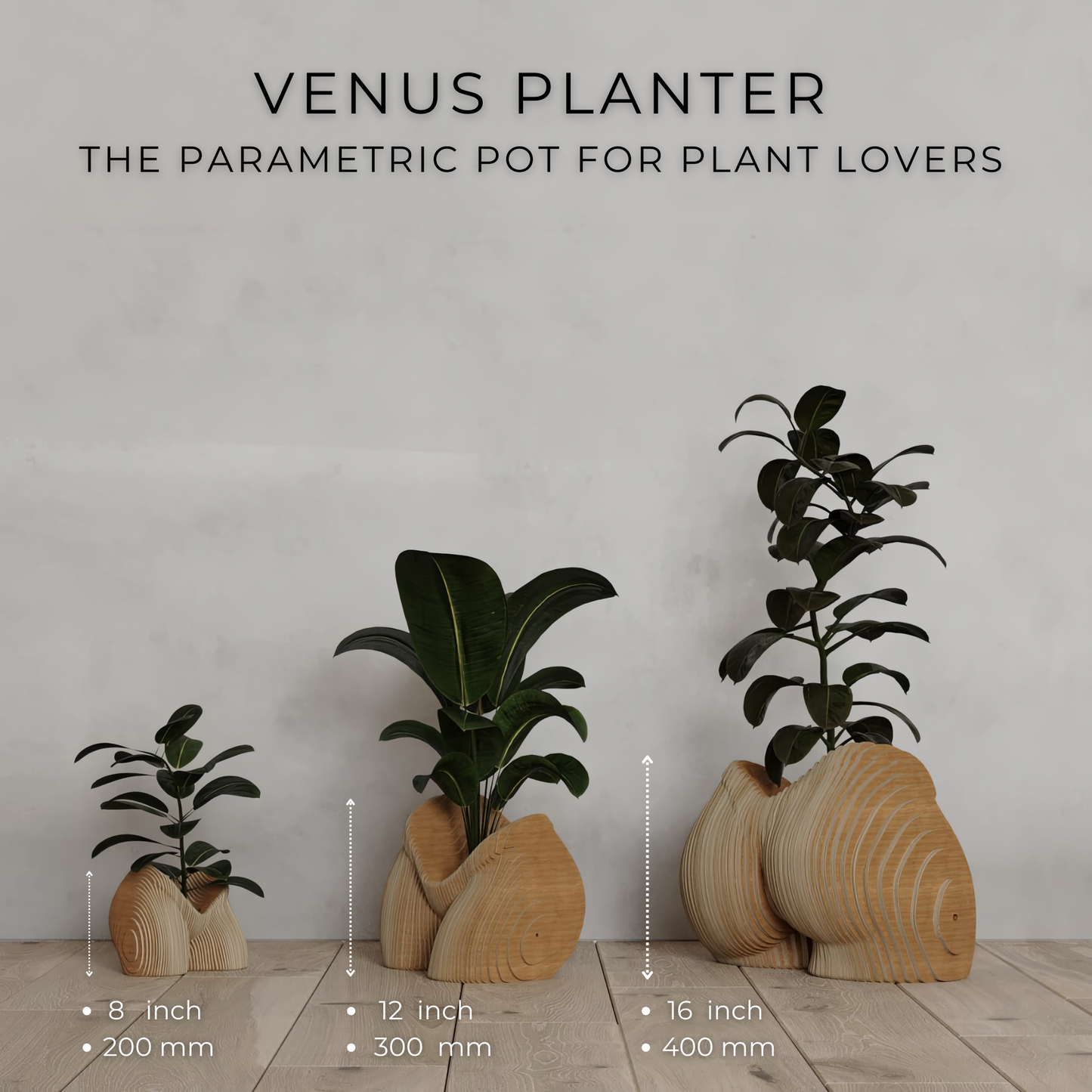 Venus Planter: The Parametric Pot for Plant Lovers